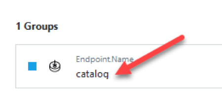 Instana endpoint calls