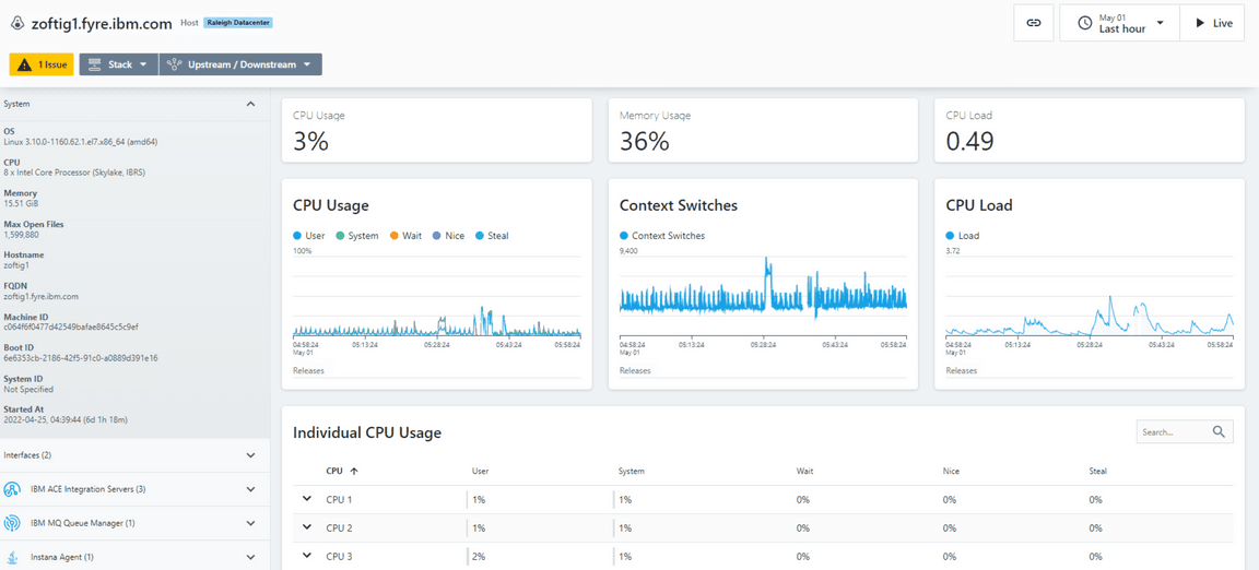 Raleigh server detail